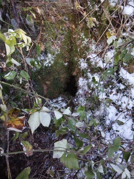 Gtte de la Faille (La Rochepot) - Vue rapprochée
Fichier manquant